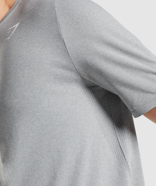 Camiseta Cinza Sem Costura De Chegada Do Gymshark