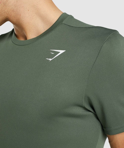 Camiseta De Chegada Do Gymshark Verde