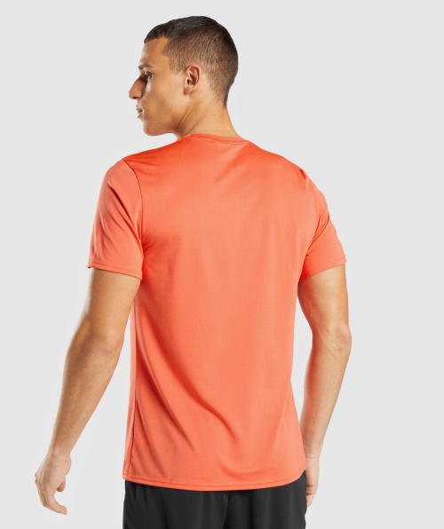Camiseta De Chegada Do Gymshark Mamão Laranja