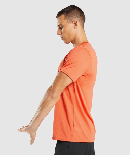 Camiseta De Chegada Do Gymshark Mamão Laranja