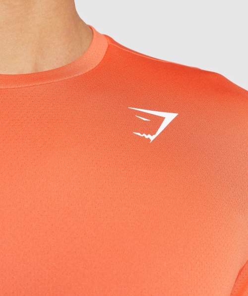 Camiseta De Chegada Do Gymshark Mamão Laranja