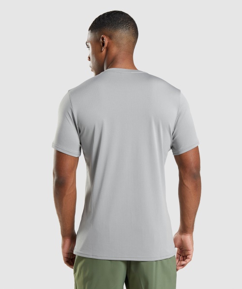 Camiseta De Chegada Do Gymshark Cinza Esfumado