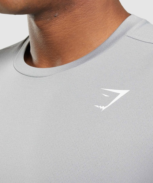 Camiseta De Chegada Do Gymshark Cinza Esfumado