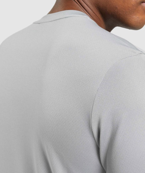 Camiseta De Chegada Do Gymshark Cinza Esfumado