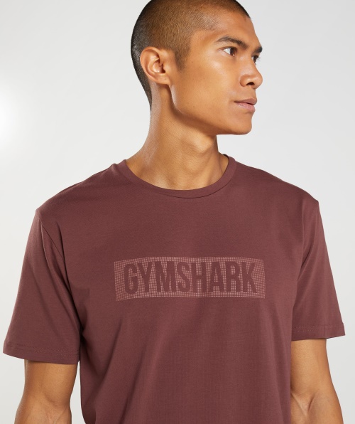 Camiseta Do Bloco Gymshark Marrom Cereja