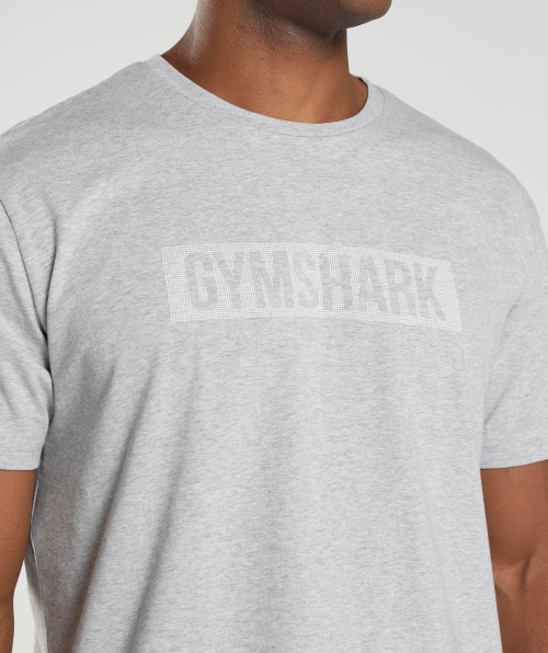 Camiseta Do Bloco Gymshark Cinza Claro Marl