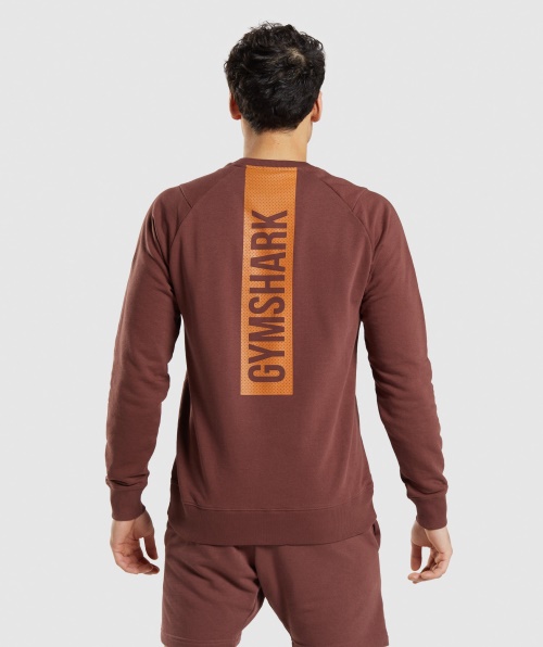 Gymshark Bold Crew Marrom Cereja
