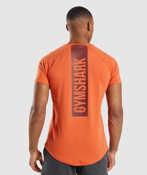 Gymshark T-shirt Em Negrito Argila Laranja