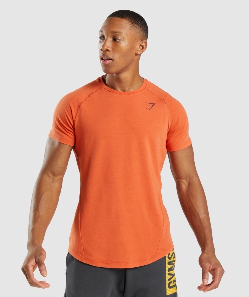 Gymshark T-shirt Em Negrito Argila Laranja