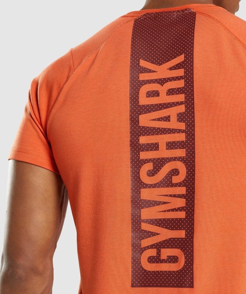 Gymshark T-shirt Em Negrito Argila Laranja