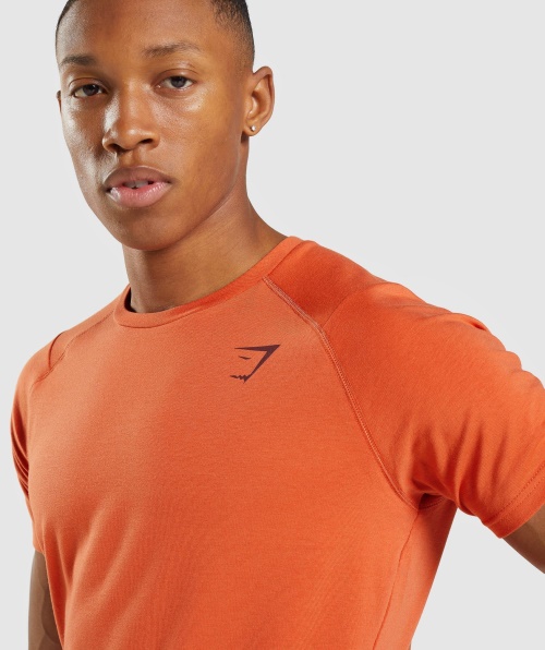 Gymshark T-shirt Em Negrito Argila Laranja