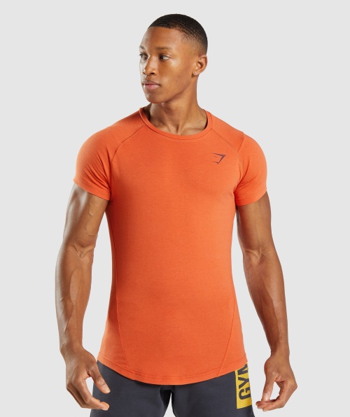 Gymshark T-shirt Ousada Masculina Argila Laranja
