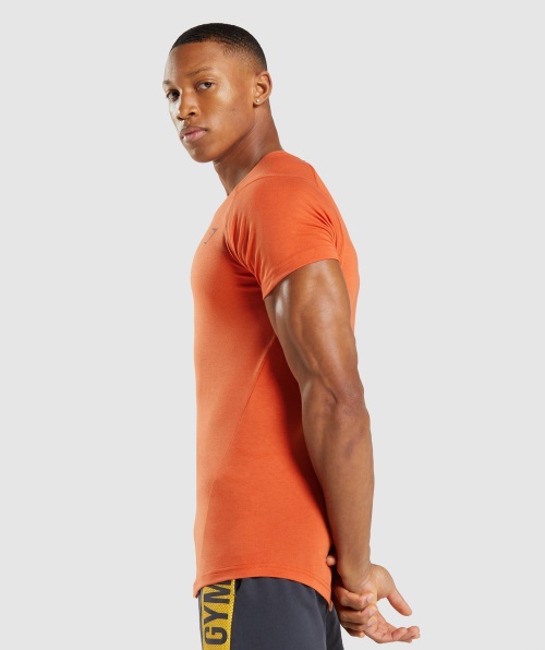 Gymshark T-shirt Ousada Masculina Argila Laranja