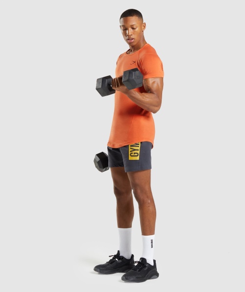 Gymshark T-shirt Ousada Masculina Argila Laranja