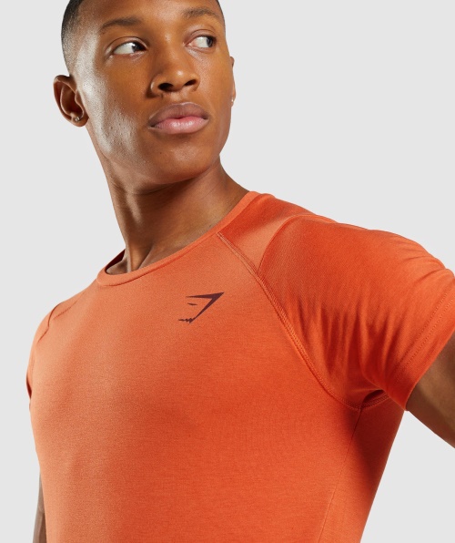Gymshark T-shirt Ousada Masculina Argila Laranja