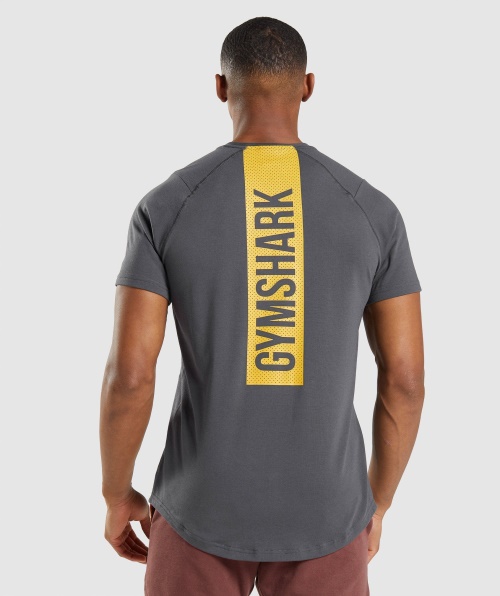 Camiseta Ousada Gymshark Masculina ônix Cinza