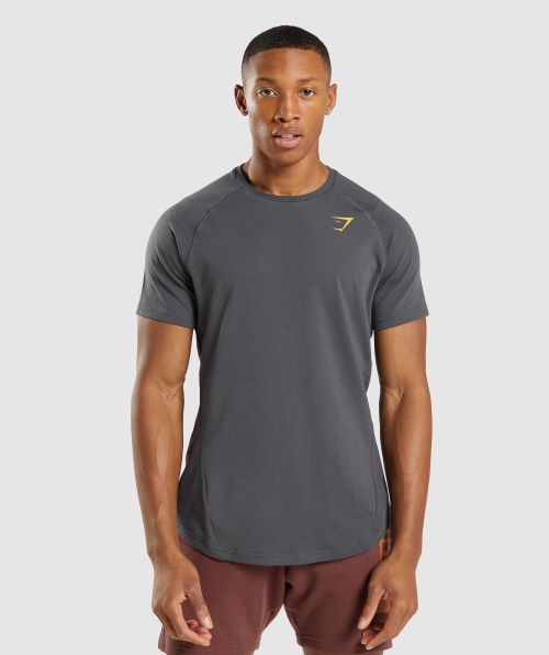 Camiseta Ousada Gymshark Masculina ônix Cinza