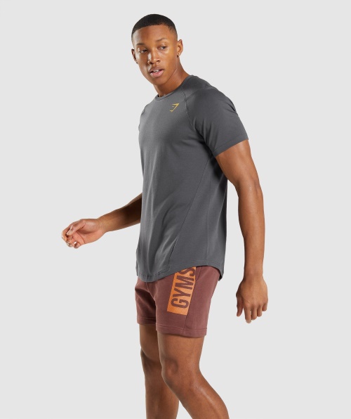 Camiseta Ousada Gymshark Masculina ônix Cinza