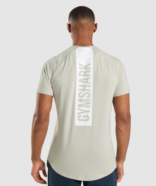 Gymshark T-shirt Ousada Masculina Seixo Cinza