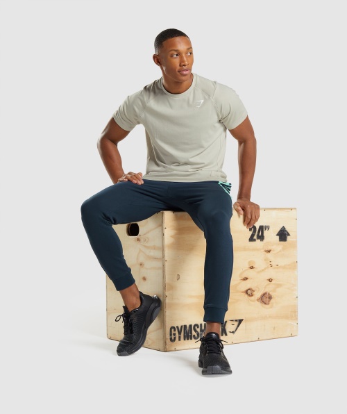 Gymshark T-shirt Ousada Masculina Seixo Cinza