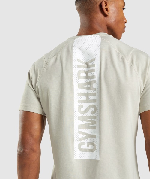 Gymshark T-shirt Ousada Masculina Seixo Cinza