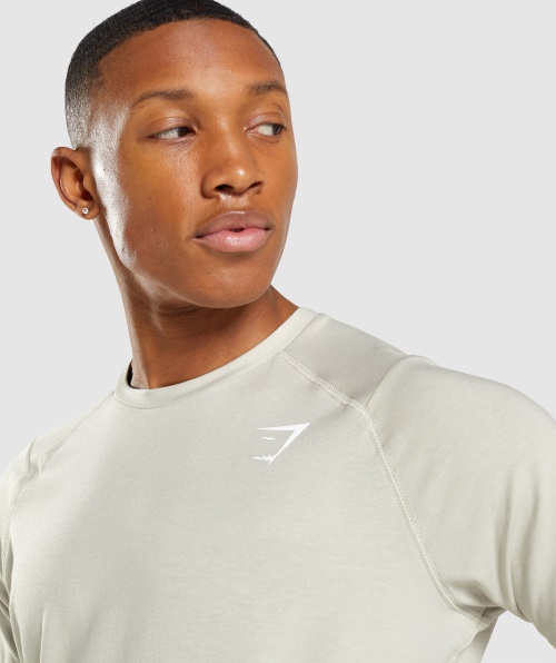 Gymshark T-shirt Ousada Masculina Seixo Cinza