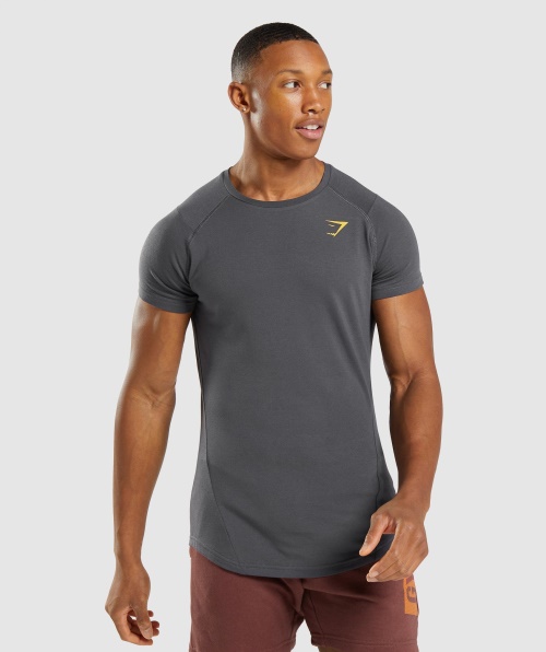 Camiseta Ousada Gymshark Cinza ônix