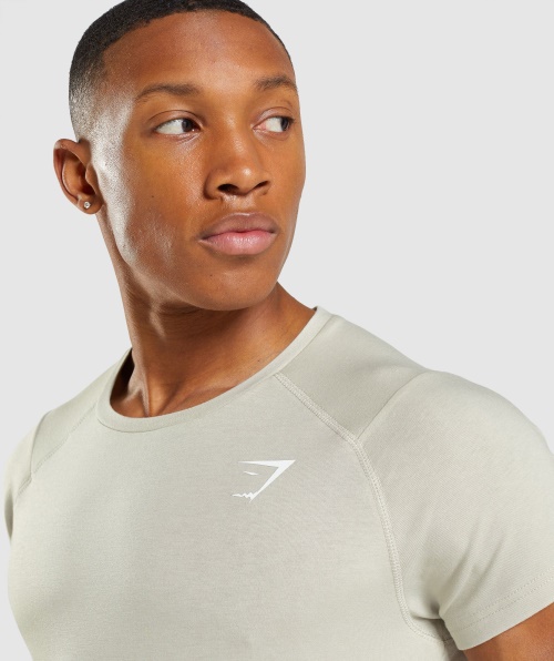 Camiseta Ousada Gymshark Cinza Seixo
