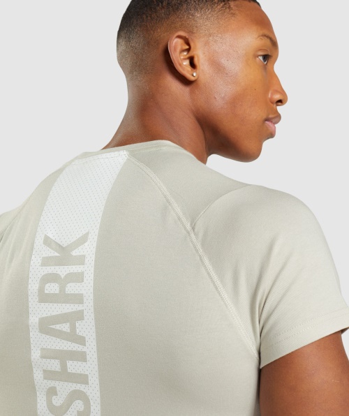 Camiseta Ousada Gymshark Cinza Seixo