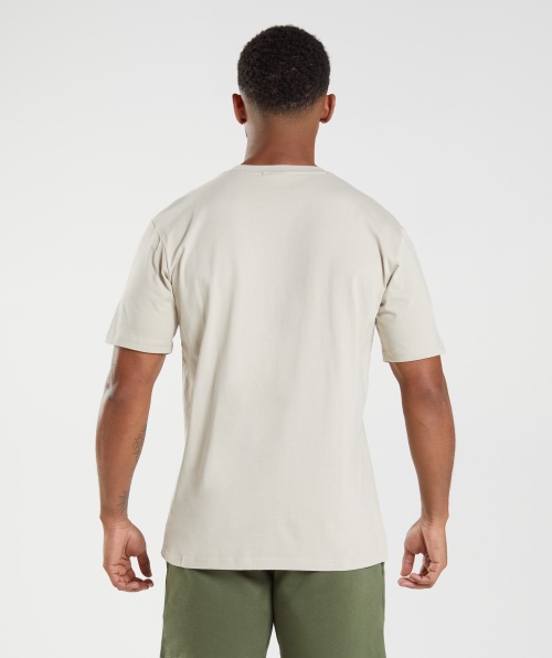 Camiseta Com Crista Do Gymshark Cinza Seixo