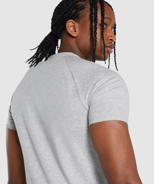 Camiseta Gymshark Critical 2.0 Cinza Claro Marl