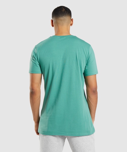Camiseta Essencial Gymshark Verde Alpino