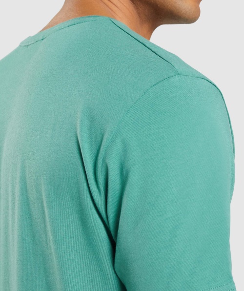 Camiseta Essencial Gymshark Verde Alpino