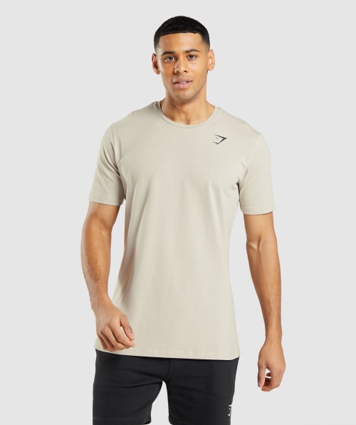 Camiseta Essencial Gymshark Cinza Seixo
