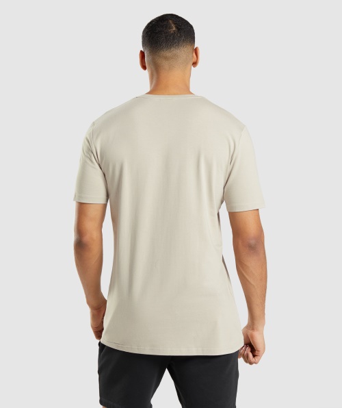 Camiseta Essencial Gymshark Cinza Seixo