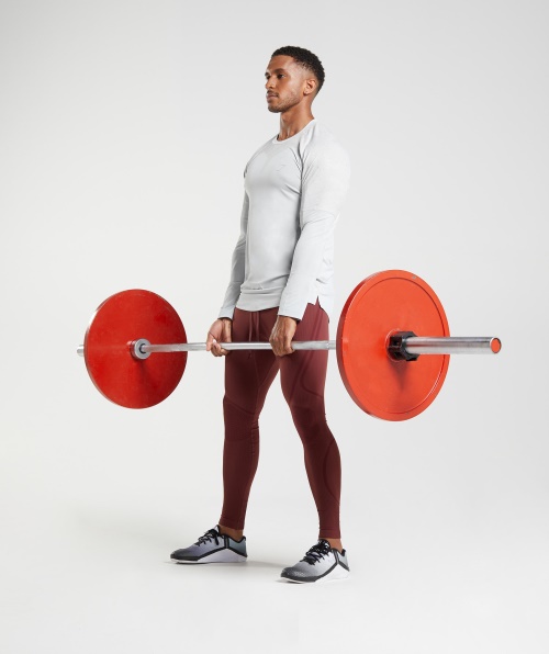 Camiseta Gymshark Manga Longa Cinza Claro