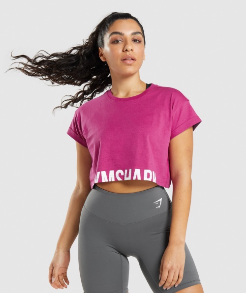 Gymshark Fração Crop Top Dragão Rosa
