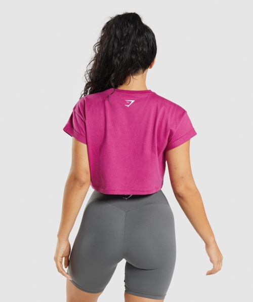 Gymshark Fração Crop Top Dragão Rosa