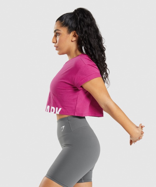 Gymshark Fração Crop Top Dragão Rosa