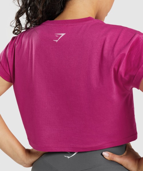 Gymshark Fração Crop Top Dragão Rosa