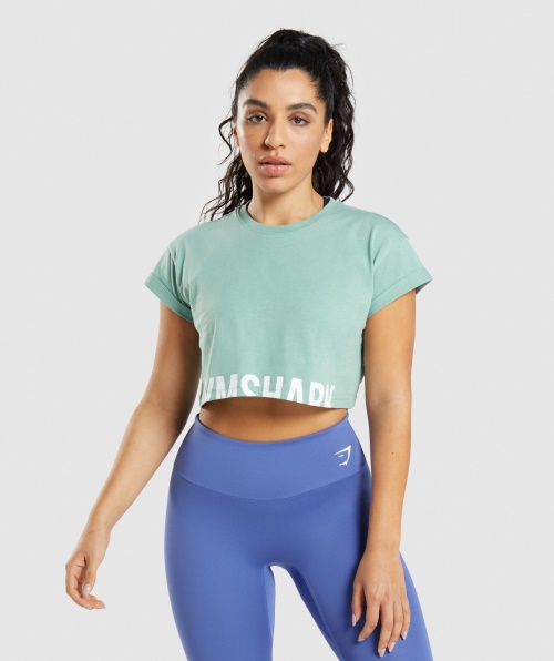 Top Cropped De Fração Gymshark Maya Blue