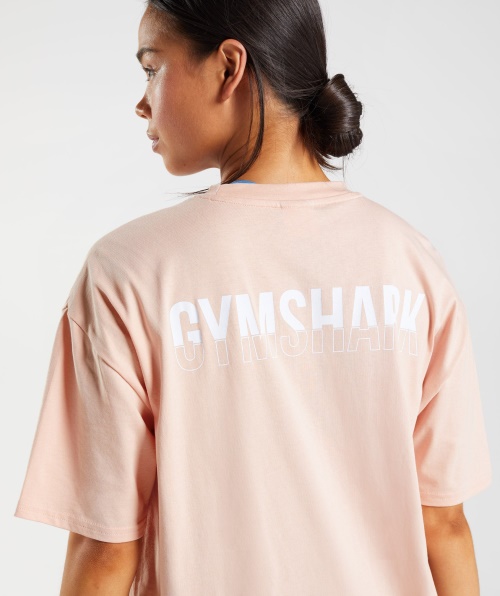 Camiseta De Tamanho Grande Do Gymshark Fração Argila Rosa