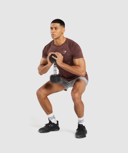 Camiseta Gymshark Geo Sem Costura Cerejeira Marrom-preta