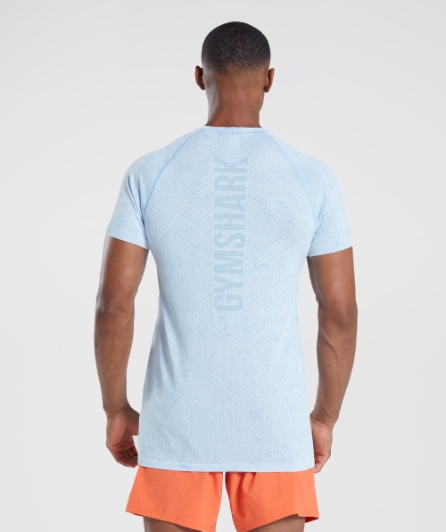 Camiseta Gymshark Geo Sem Costura Branco-pedra Da Lua Azul