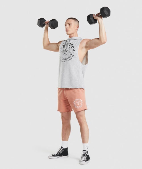 Gymshark Legacy Moletom Com Capuz Cinza Claro Core Marl