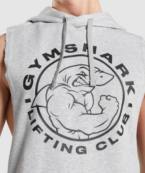 Gymshark Legacy Moletom Com Capuz Cinza Claro Core Marl