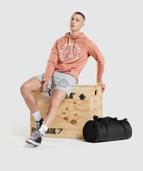 Moletom Com Capuz Legado Gymshark Nevada Rosa