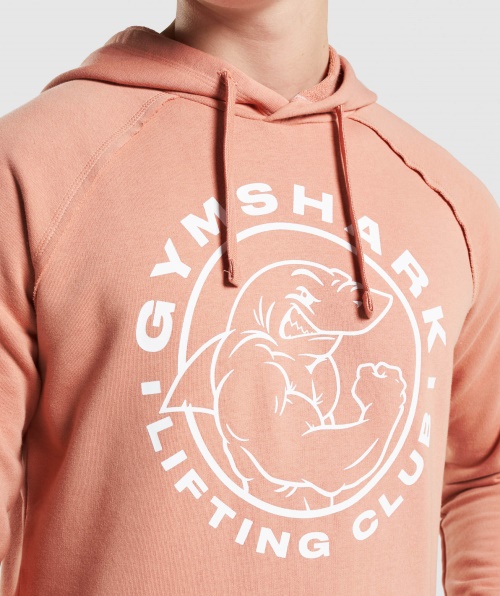 Moletom Com Capuz Legado Gymshark Nevada Rosa