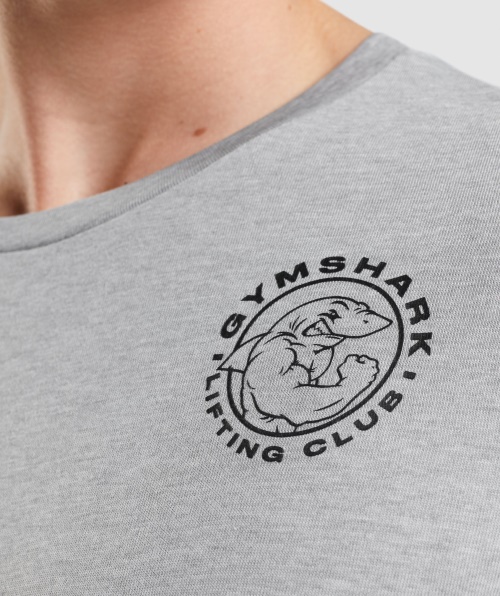 Camiseta Legada Gymshark Manga Longa Cinza Claro Core Marl