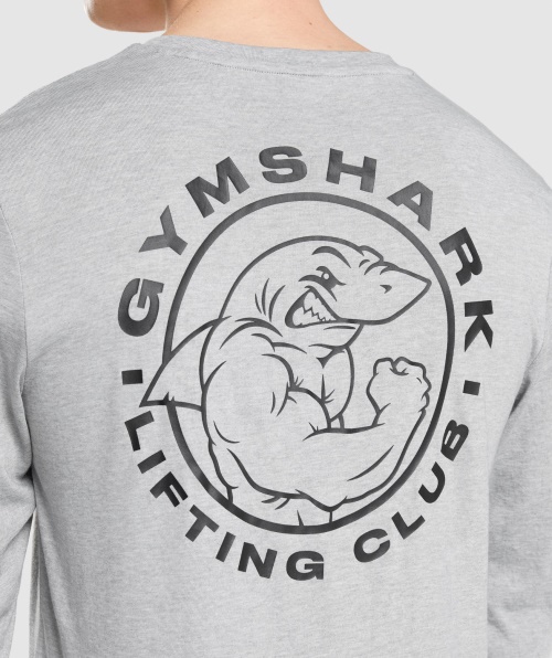 Camiseta Legada Gymshark Manga Longa Cinza Claro Core Marl